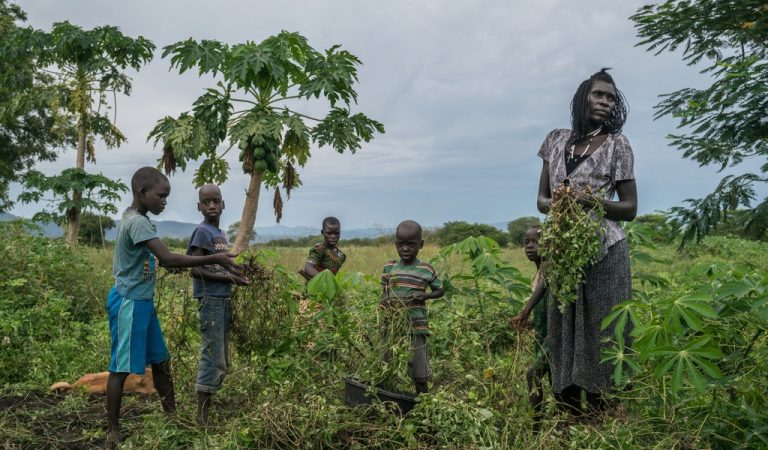 Uganda Land Disputes: Challenges for Real Estate Growth